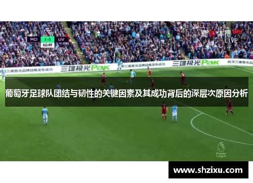 葡萄牙足球队团结与韧性的关键因素及其成功背后的深层次原因分析